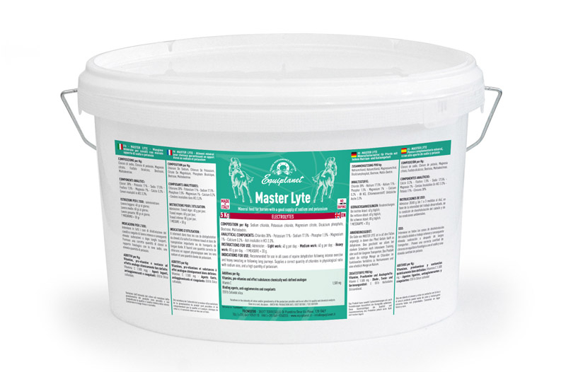 Master Lyte - Powdered product based on electrolytes (5kg)